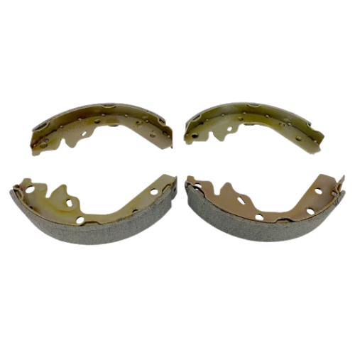 1365S519-BIO