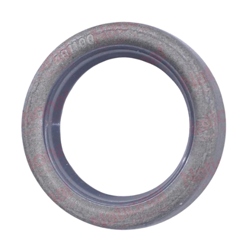 481100-NT