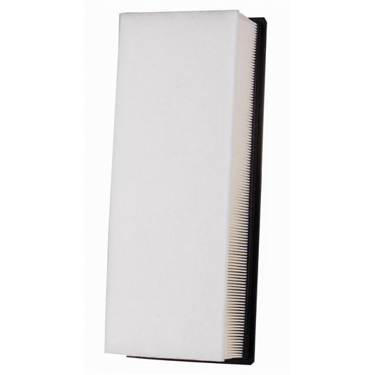 CAVW619
