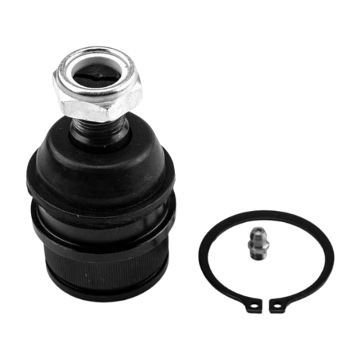 K8195-CTK