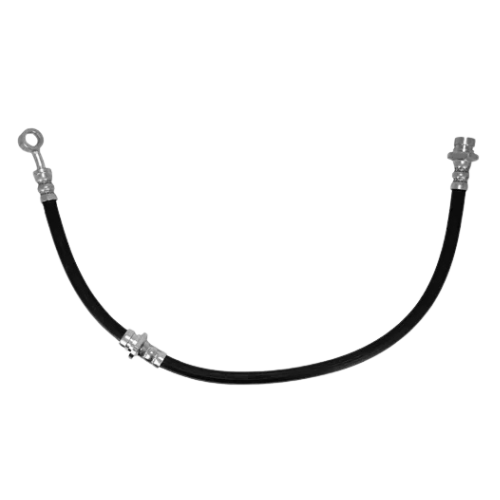 NF38496